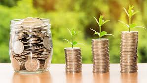 Coins growing in a jar with plants