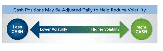 Merrill Lynch Strategic Balanced Index Daily Rebalancing Infographic