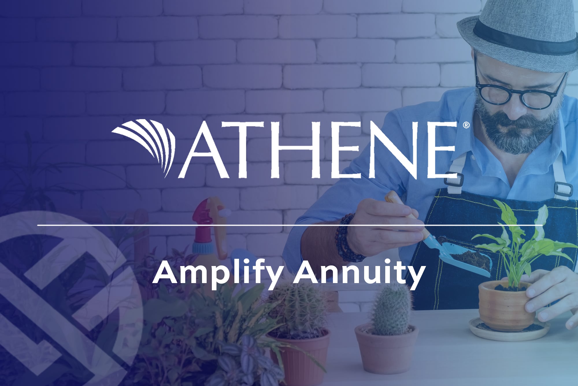 Athene Amplify Annuity Review